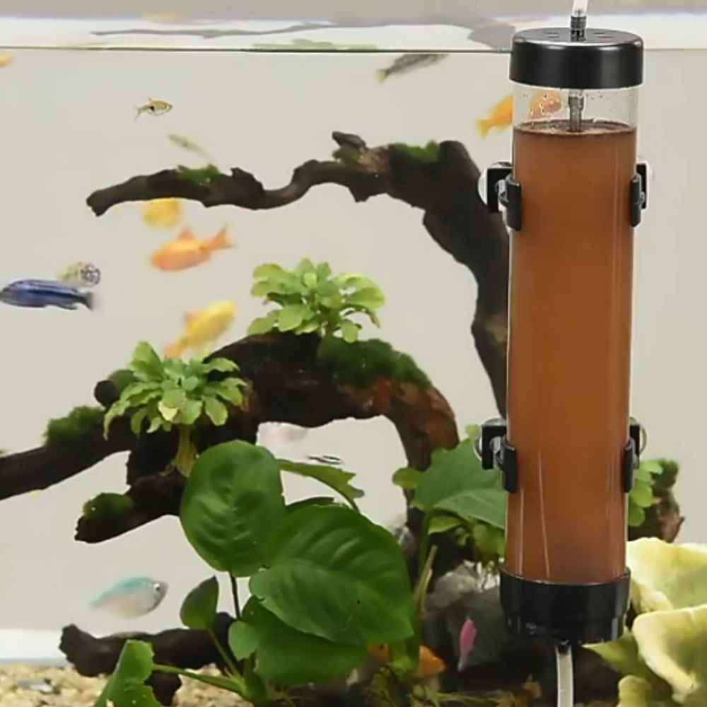 Baby Food Shrimp - 1Set Aquarium Brine Shrimp Incubator Baby