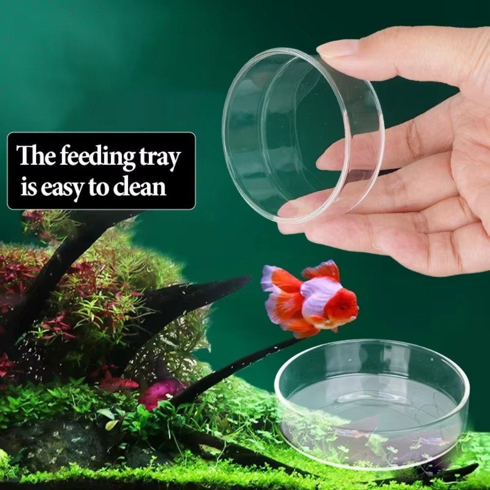 Glass Aquarium Feeding Bowl Du - đánh giá và giá Baby Food Shrimp
