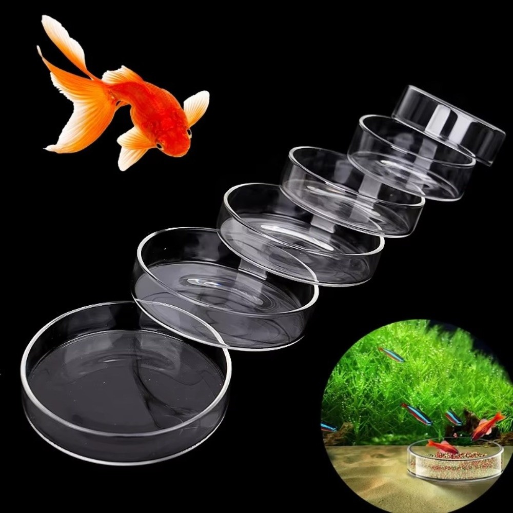 Glass Aquarium Feeding Bowl Du - đánh giá và giá Baby Food Shrimp