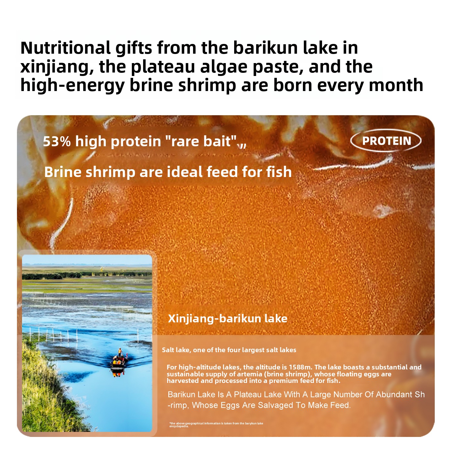 SANKii Decapsulated Brine Shri - đánh giá và giá Baby Food Shrimp