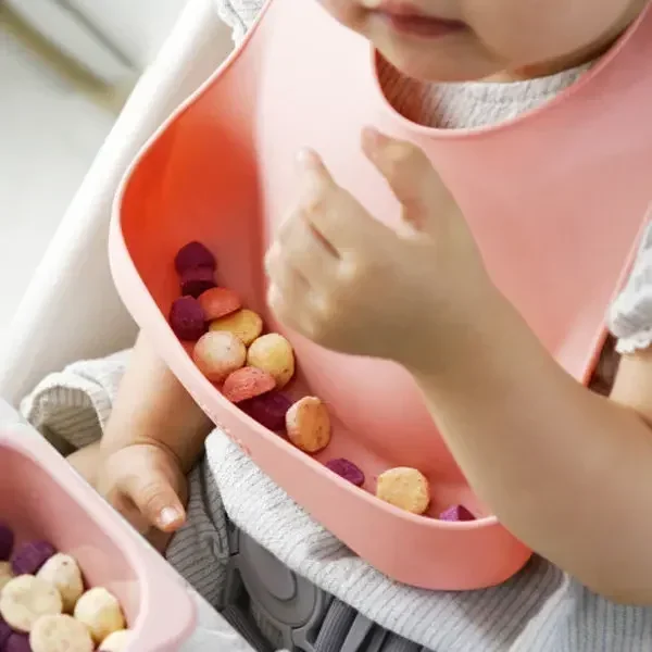 Food Grade Silicone Child Dish - đánh giá và giá Baby Food Tracker