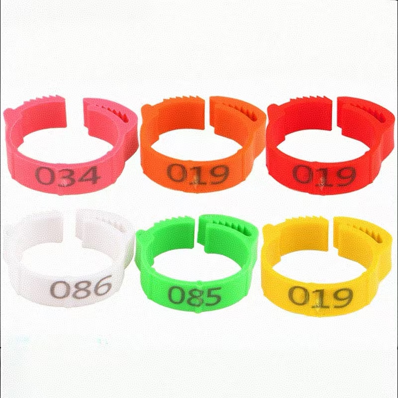 100pcs Chicken Foot Ring Label - đánh giá và giá Baby Food Label