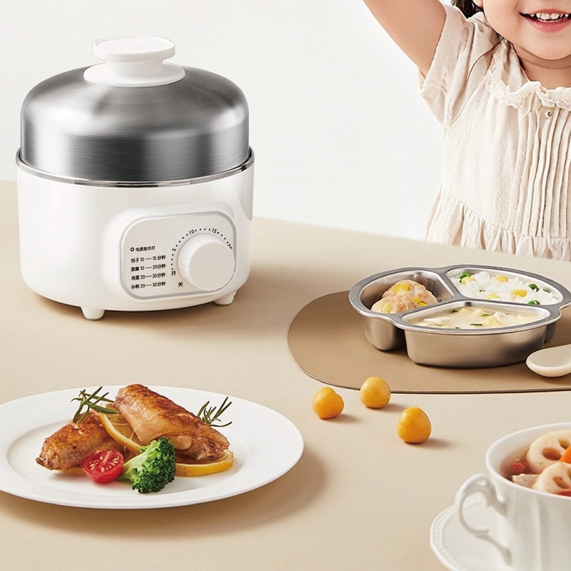 400W Multifunctional Egg Cooke - đánh giá và giá Baby Food Steamer
