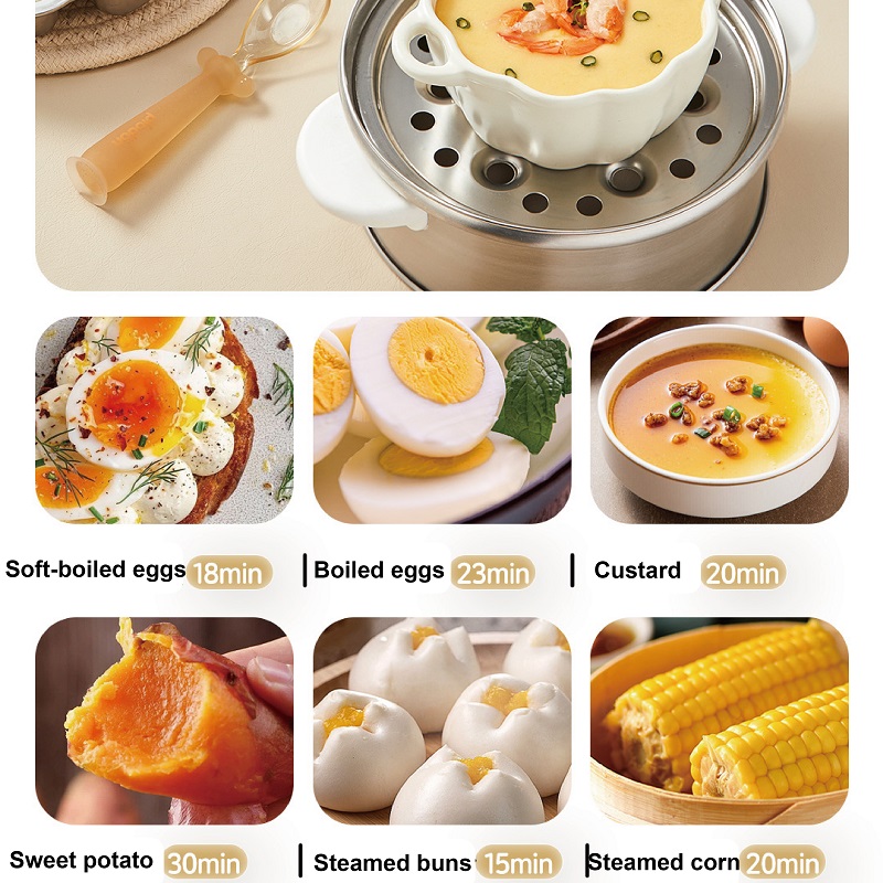 400W Multifunctional Egg Cooke - đánh giá và giá Baby Food Steamer