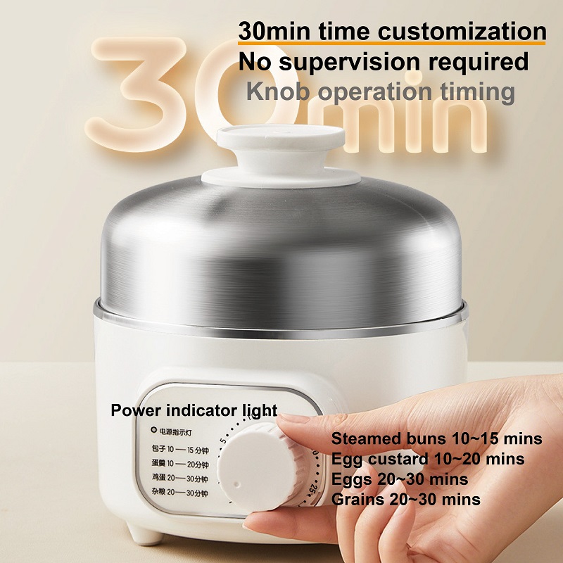 400W Multifunctional Egg Cooke - đánh giá và giá Baby Food Steamer
