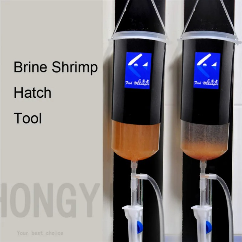 Cổ Tích tôm trứng Artemia sống - đánh giá và giá Baby Food Shrimp