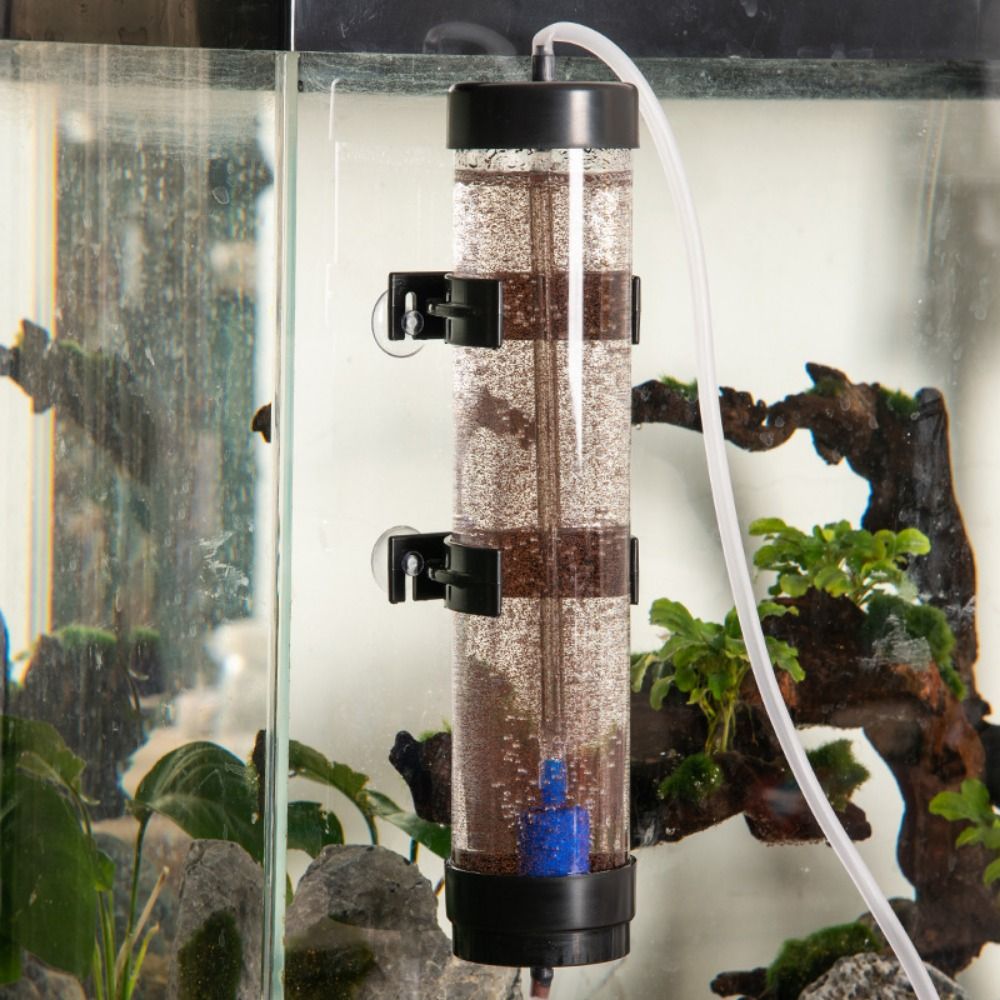 1Set Aquarium Brine Shrimp Inc - đánh giá và giá Baby Food Shrimp